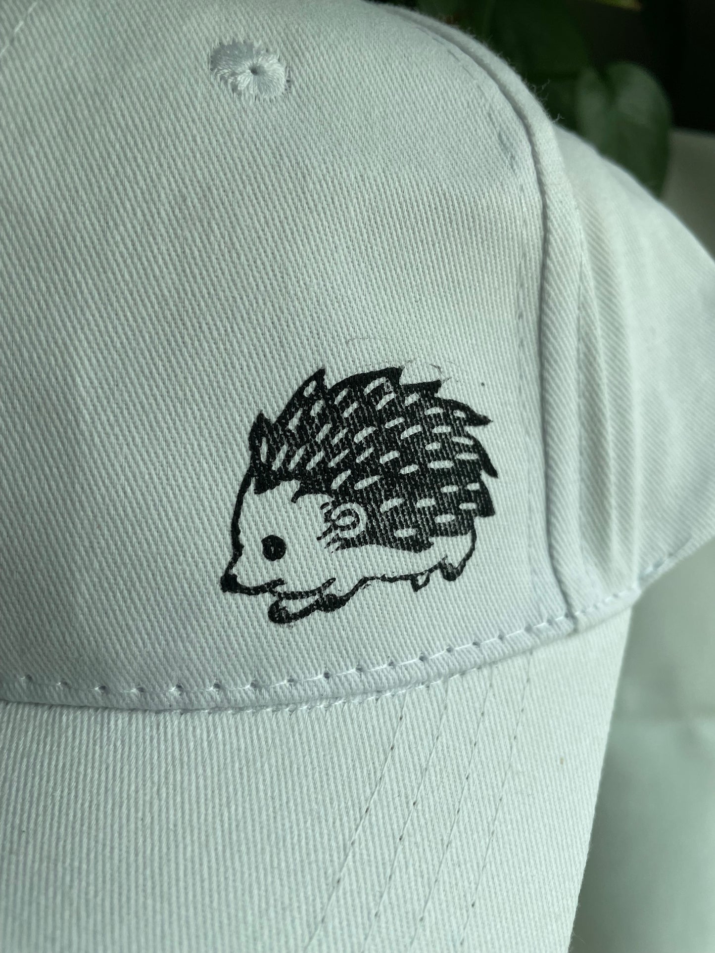 Hedgehog and Fern Cap