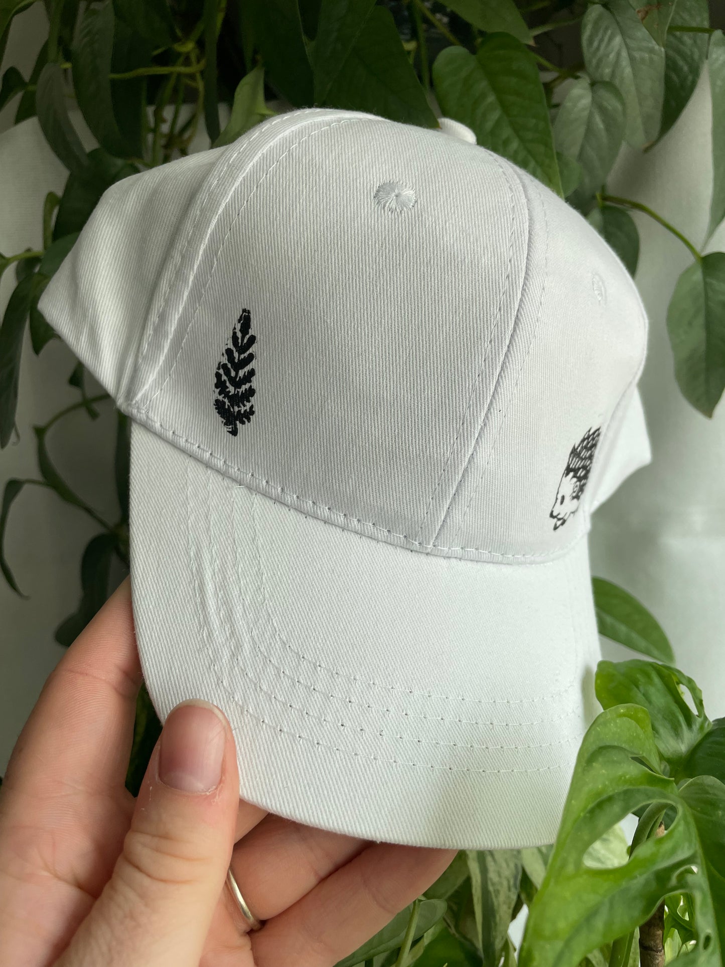 Hedgehog and Fern Cap