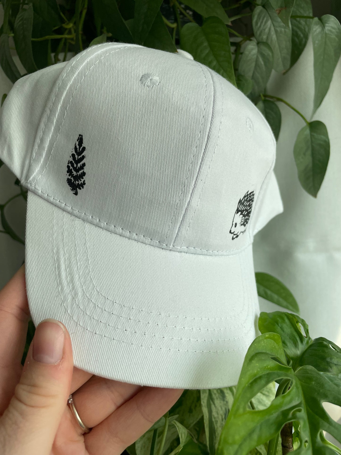 Hedgehog and Fern Cap