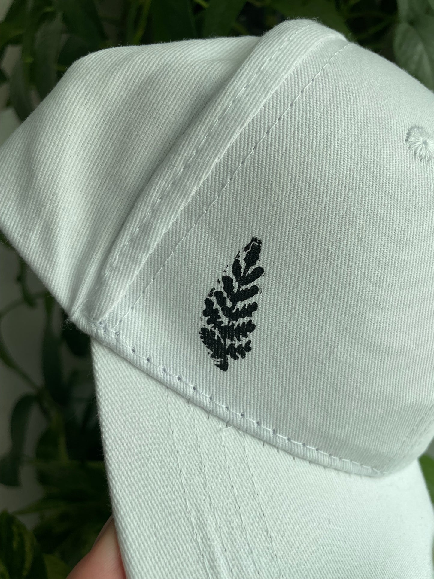 Hedgehog and Fern Cap