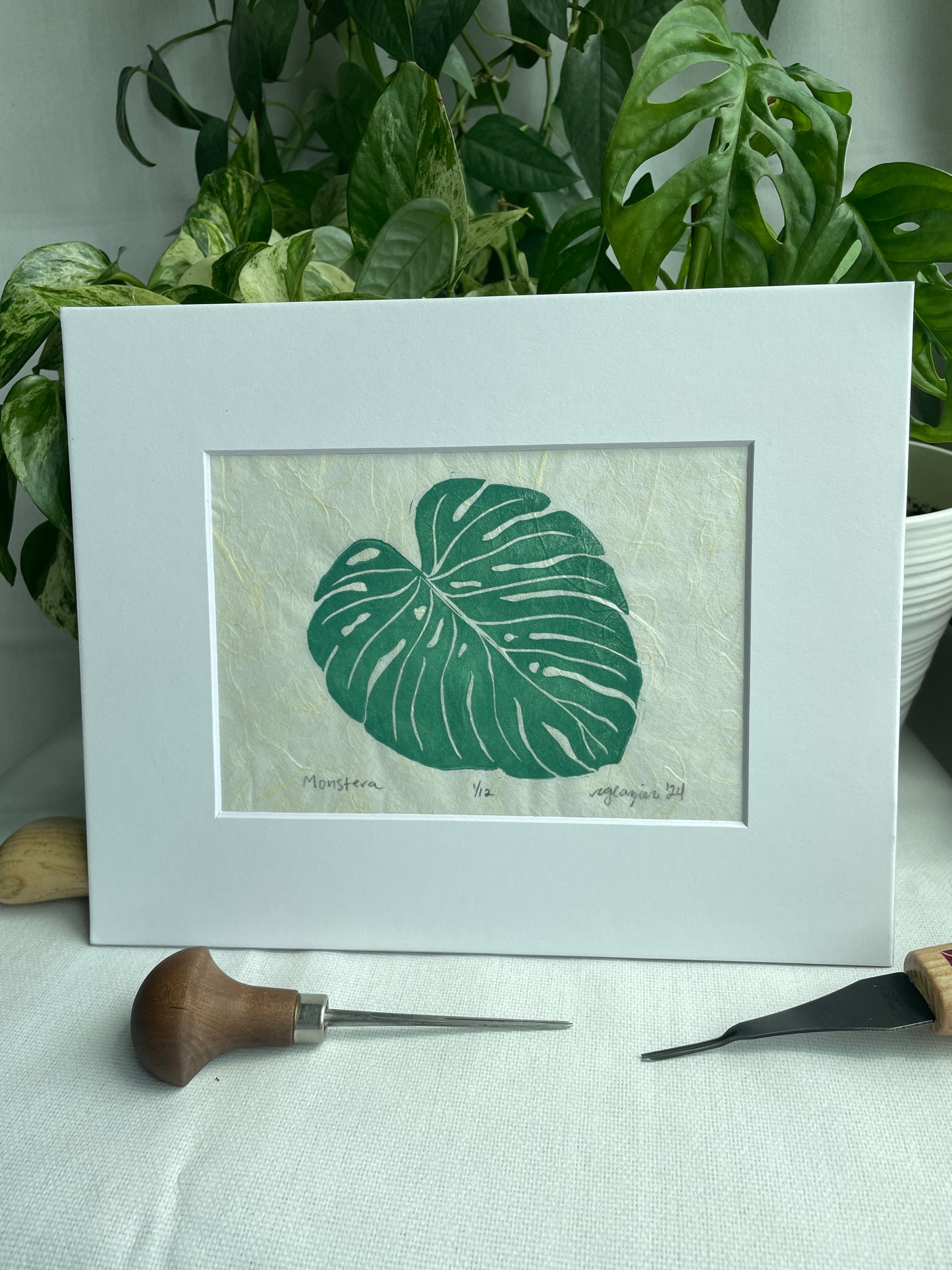 Monstera Leaf matted to 8x10”