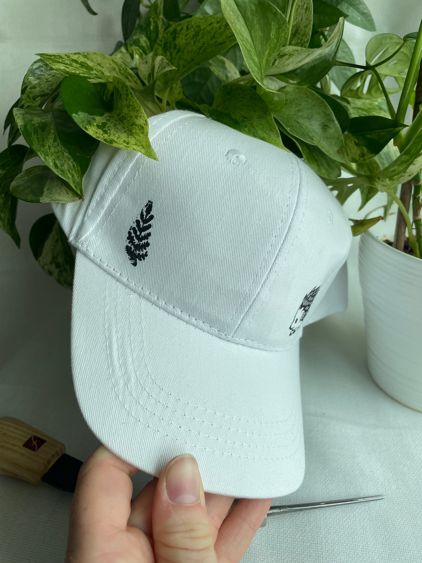 Hedgehog and Fern Cap