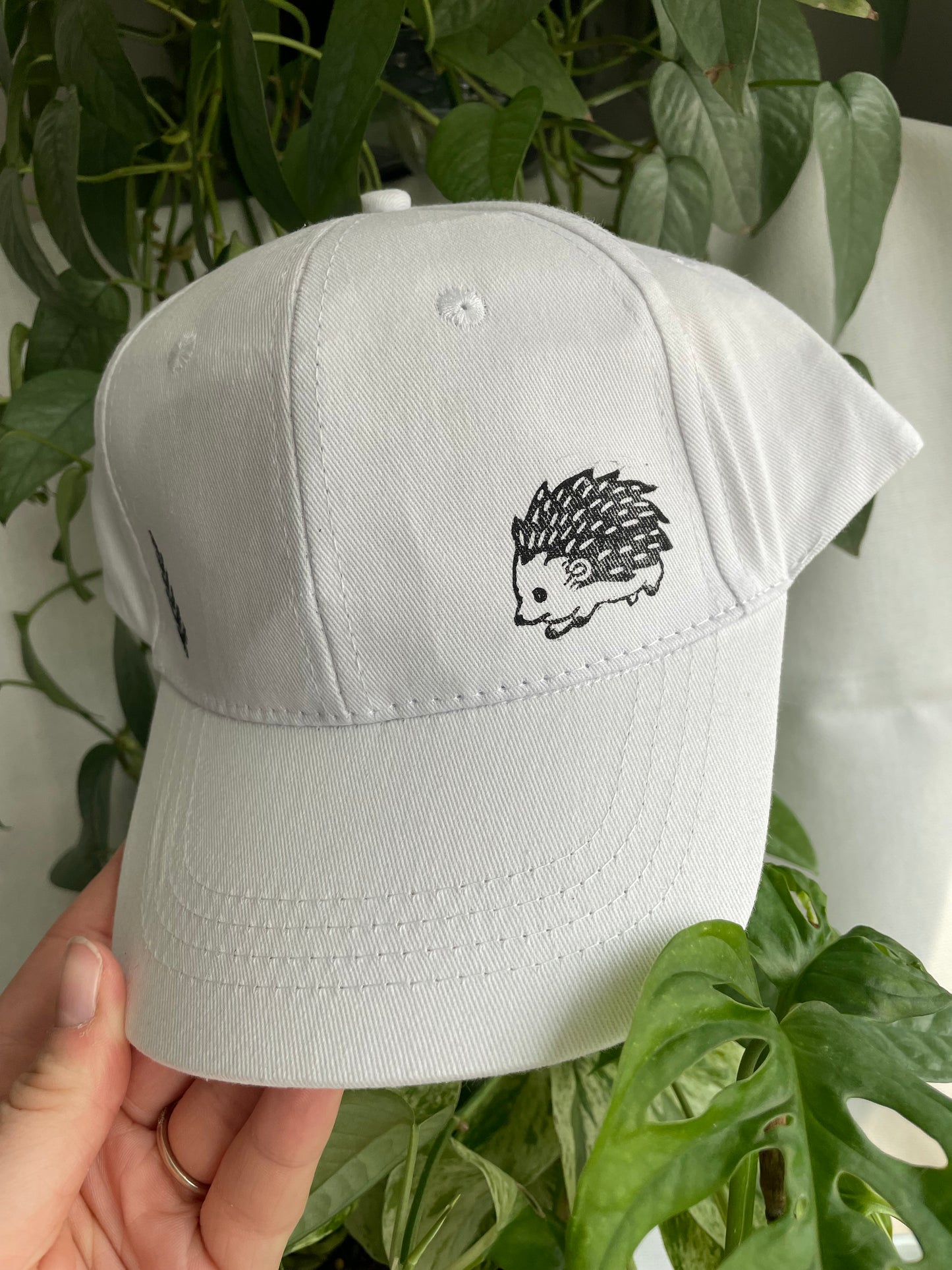Hedgehog and Fern Cap
