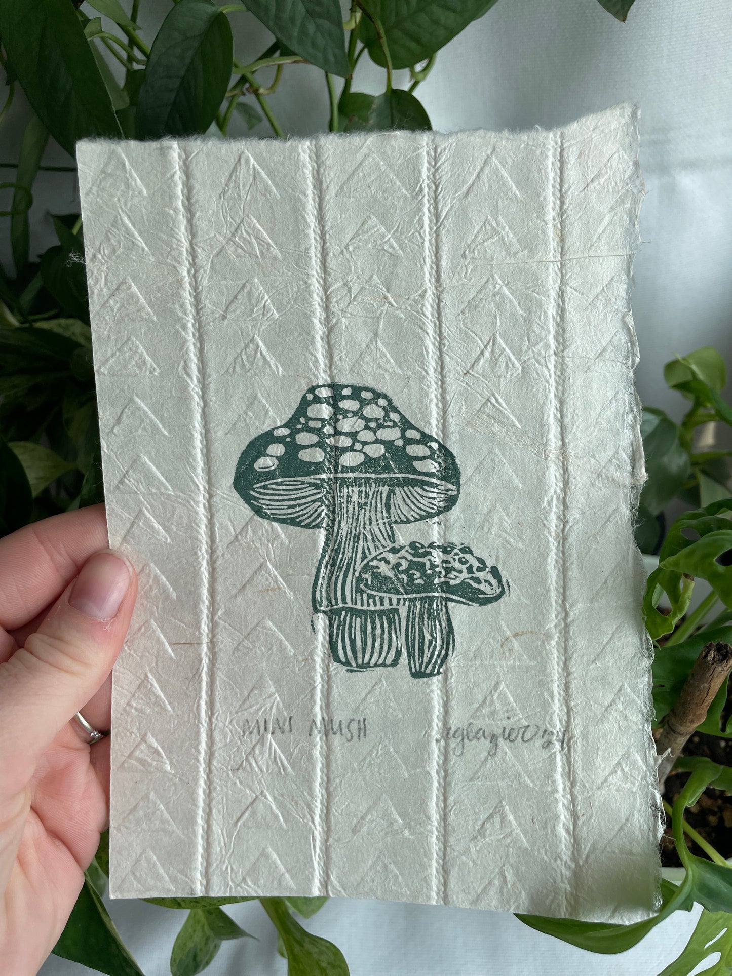 Green “Mini Mush”