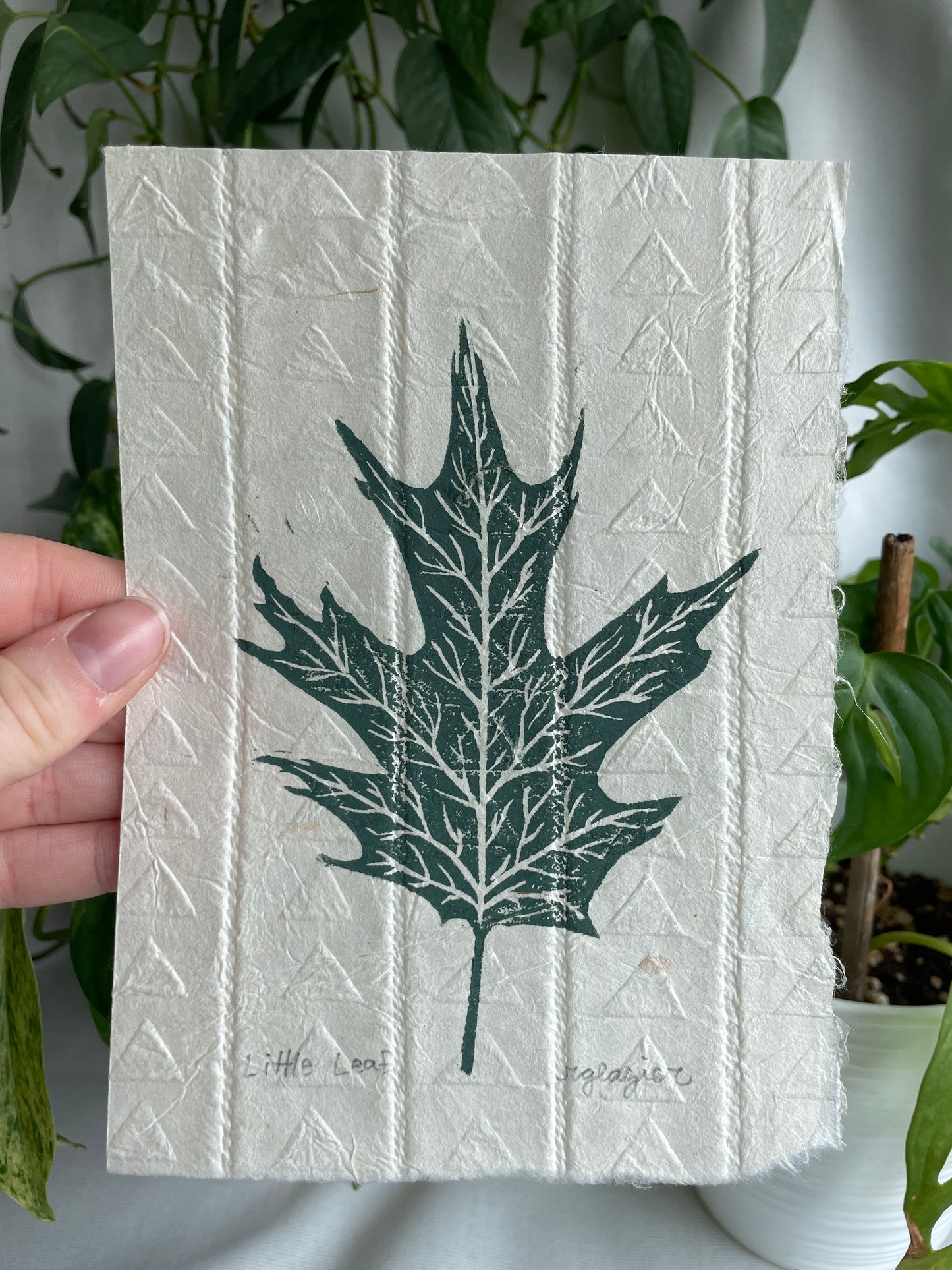 Little Leaf