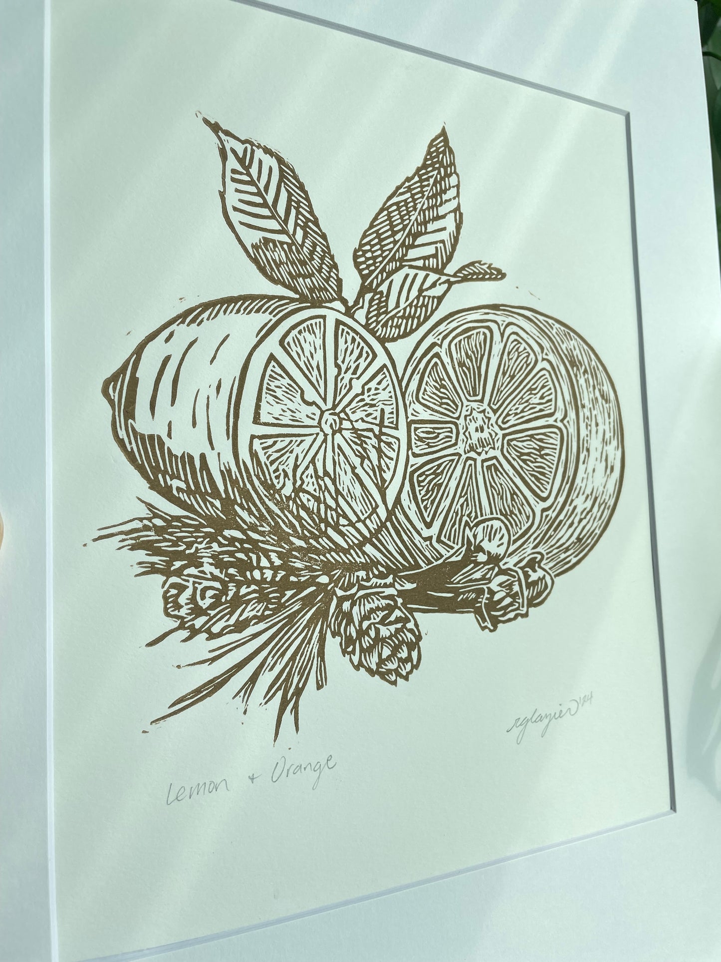 Lemon and Orange, matted to 11x14”