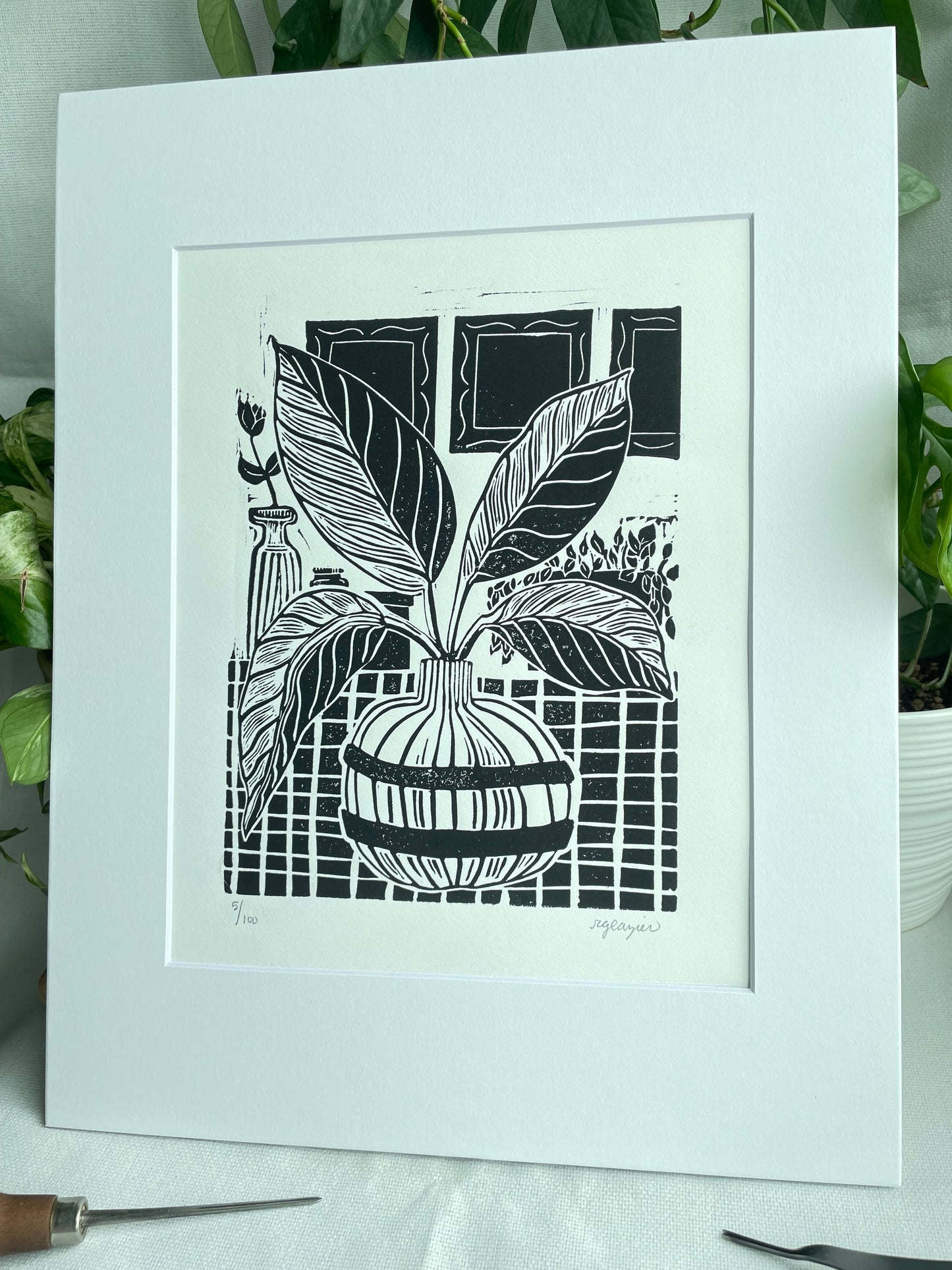 Houseplant #1 matted to 11x14”