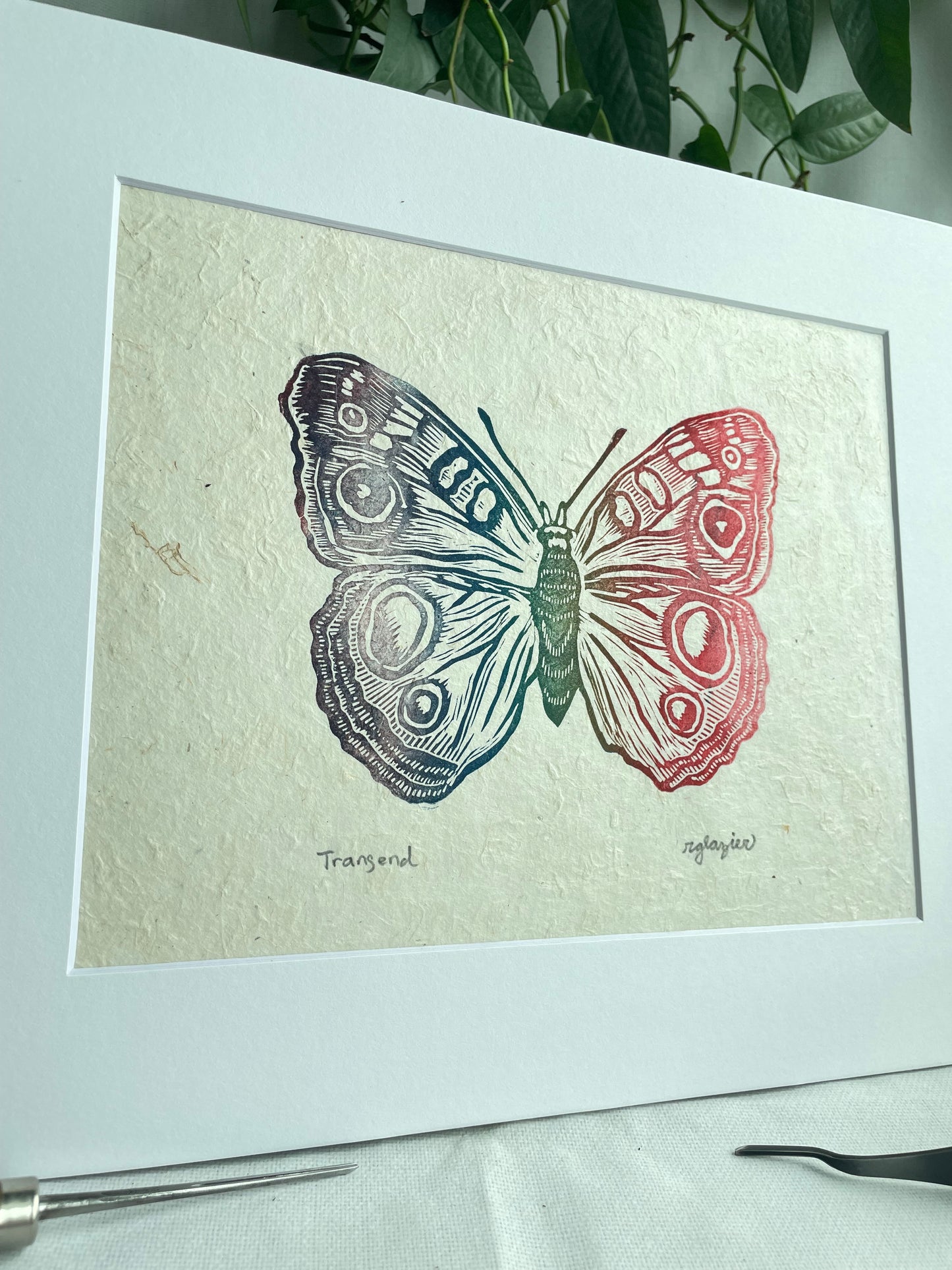 Rainbow Butterfly matted to 8x10”
