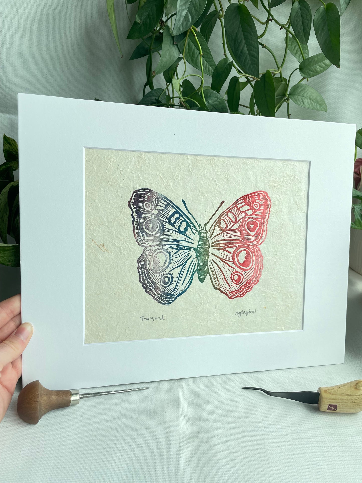 Rainbow Butterfly matted to 8x10”
