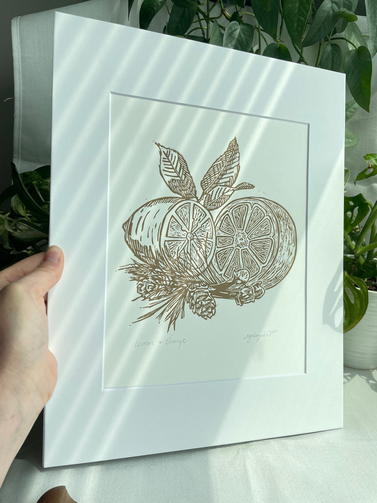Lemon and Orange, matted to 11x14”