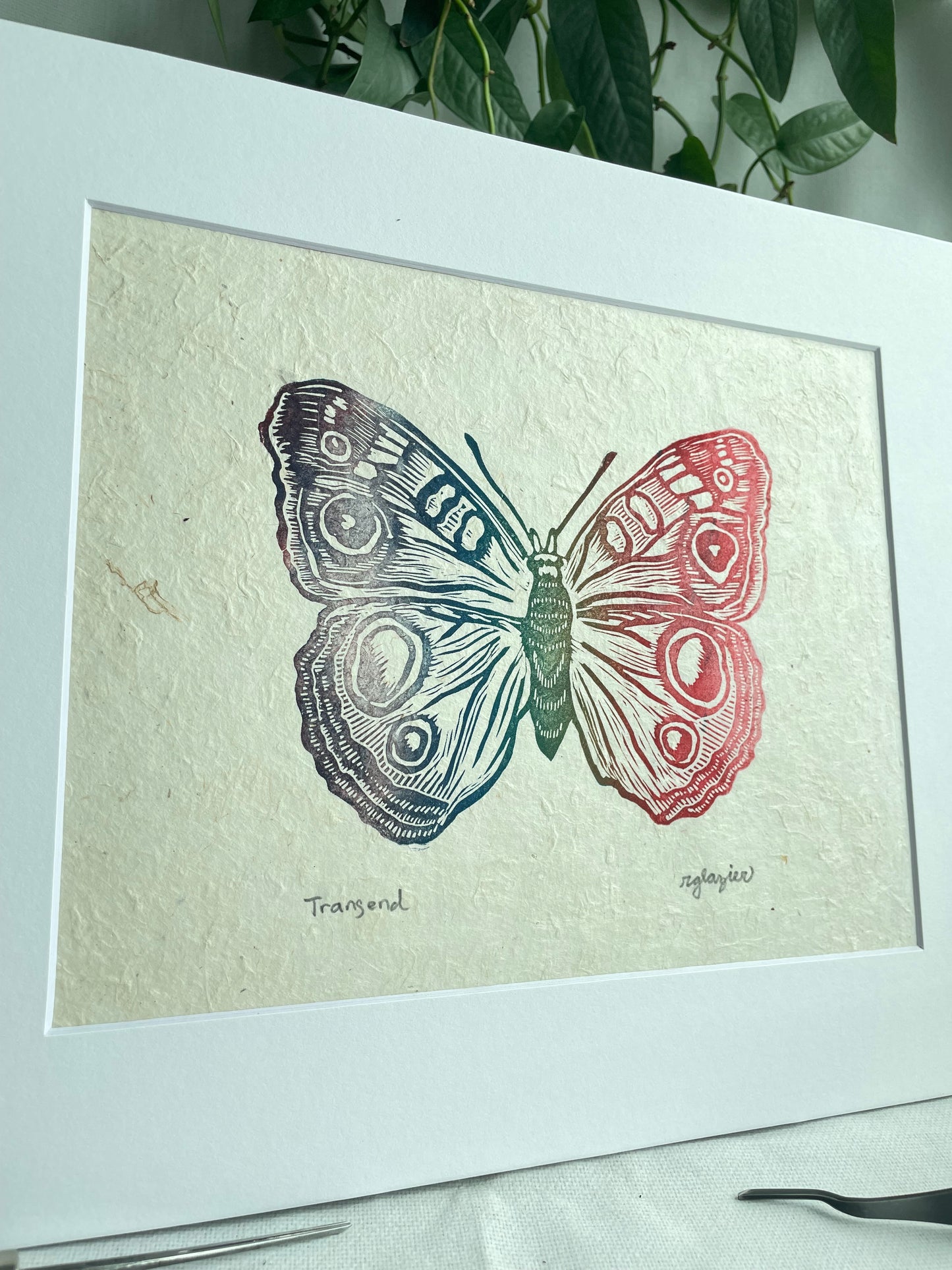 Rainbow Butterfly matted to 8x10”