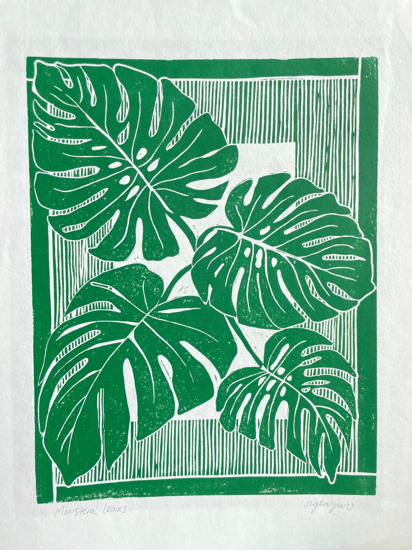 Monstera Leaves