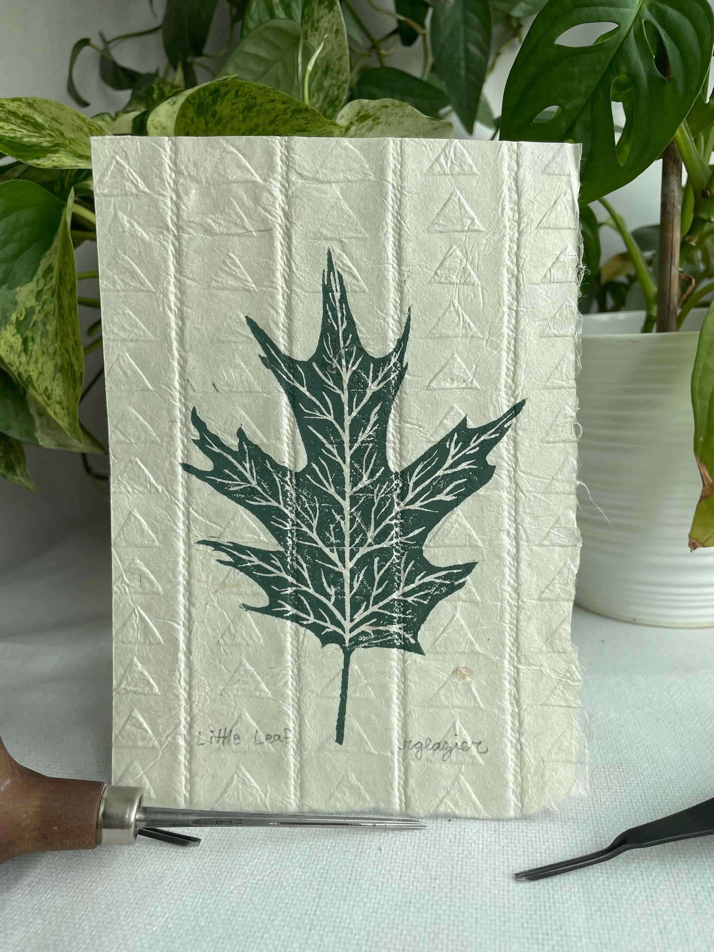 Little Leaf