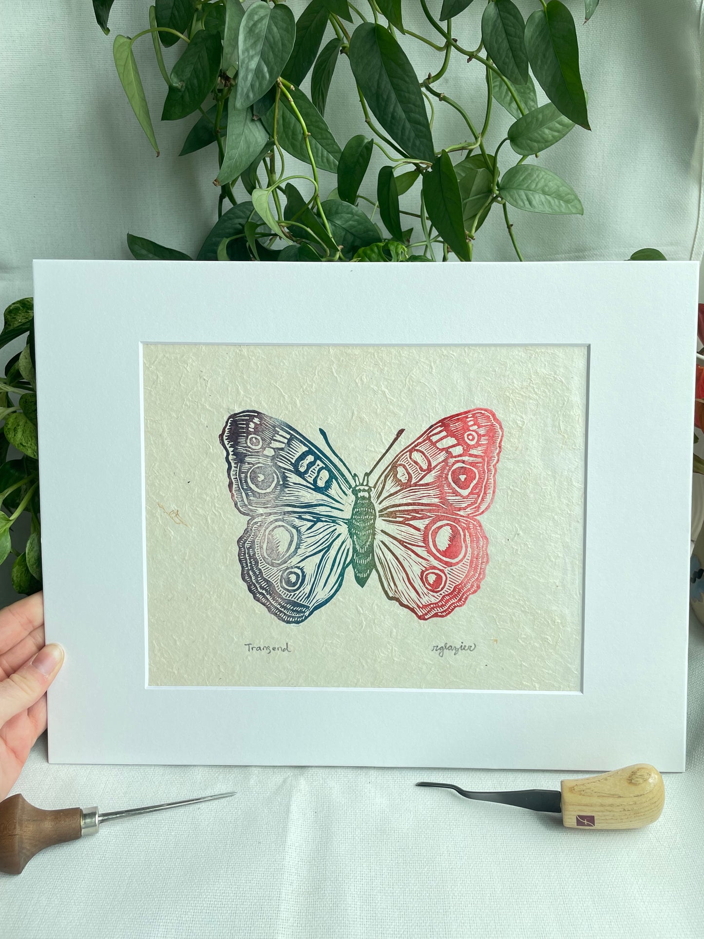 Rainbow Butterfly matted to 8x10”
