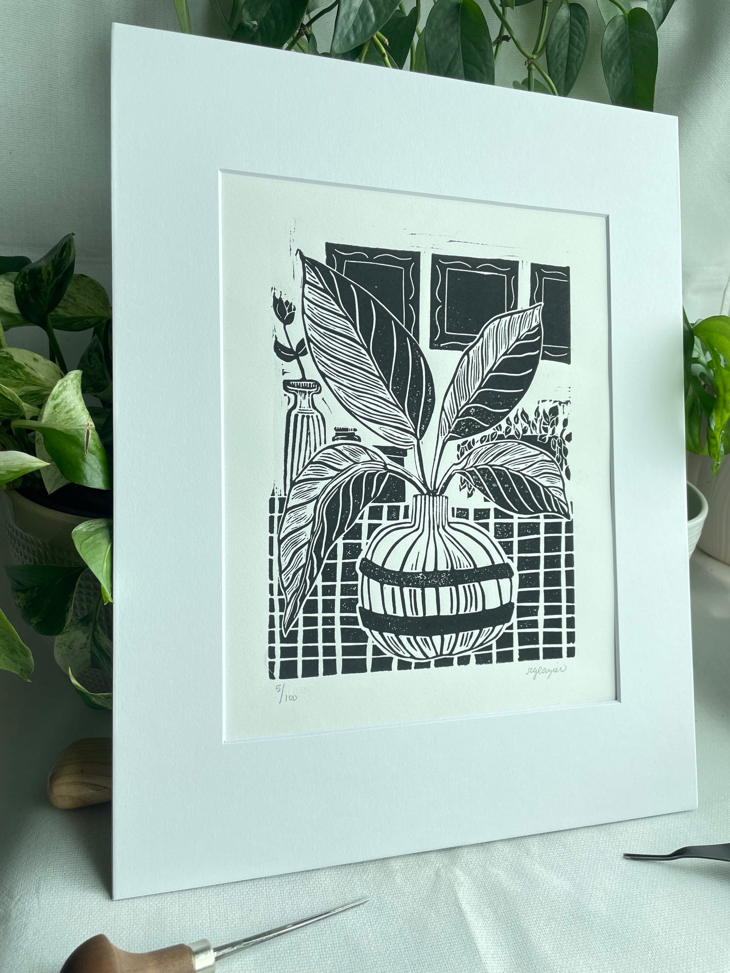 Houseplant #1 matted to 11x14”
