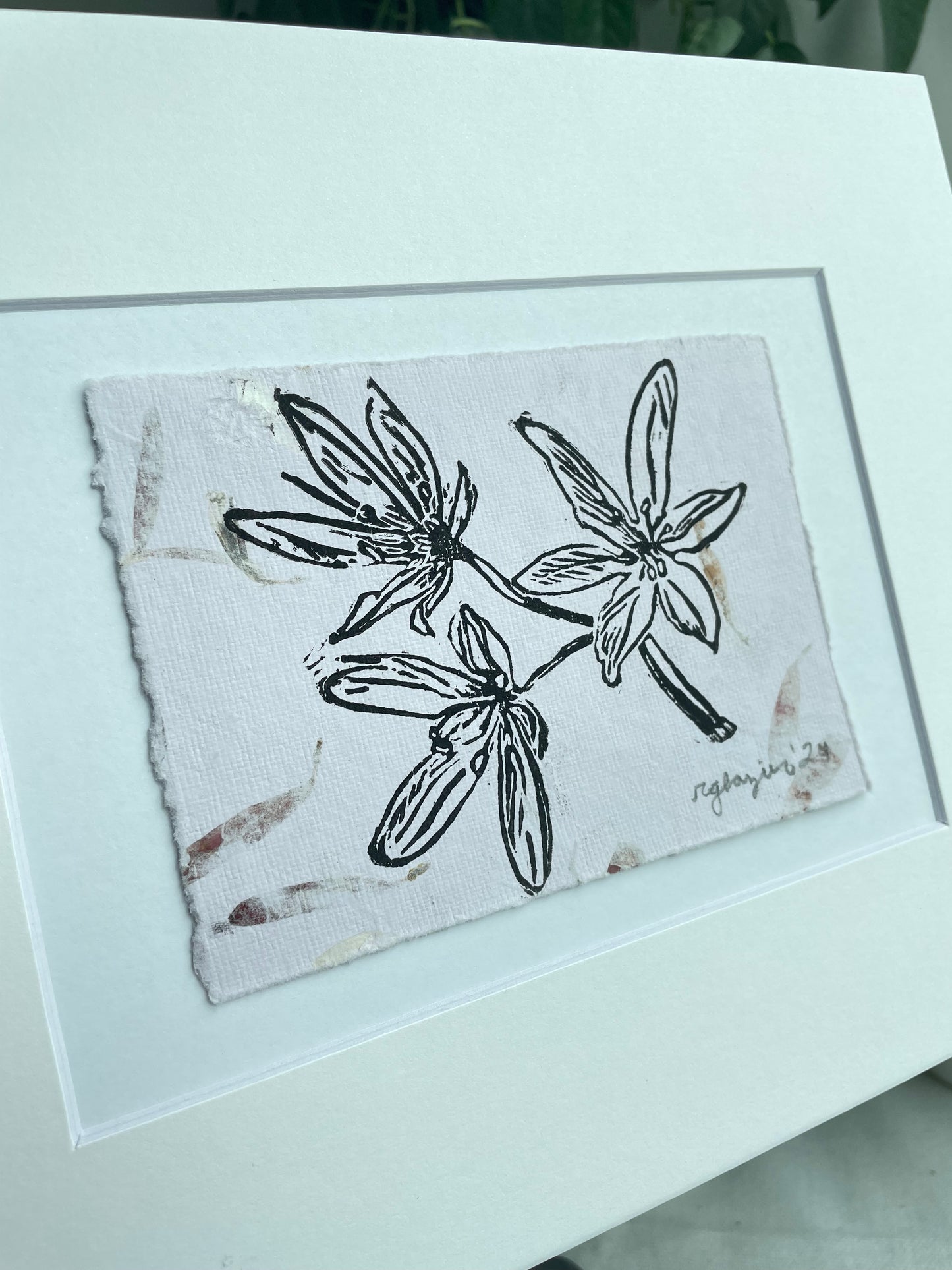 Crow Poison on handmade Lokta paper