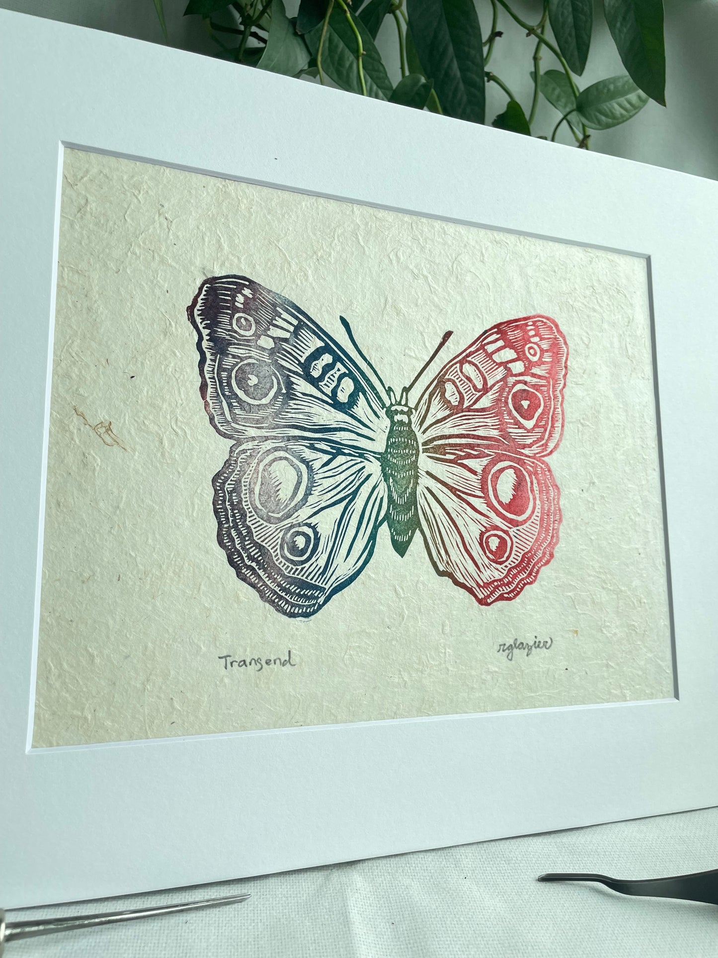 Rainbow Butterfly matted to 8x10”
