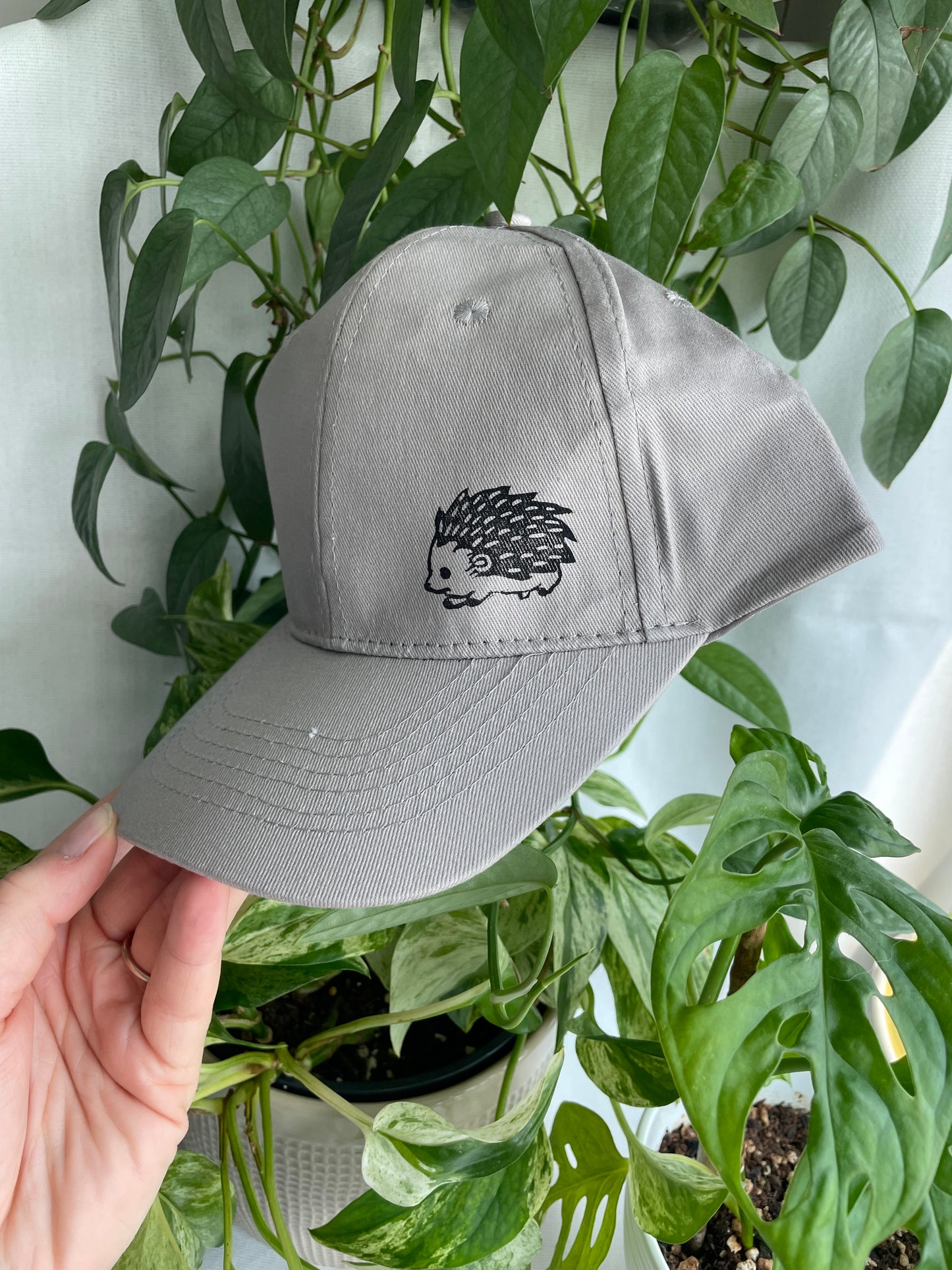 Hedgehog and Fern Cap