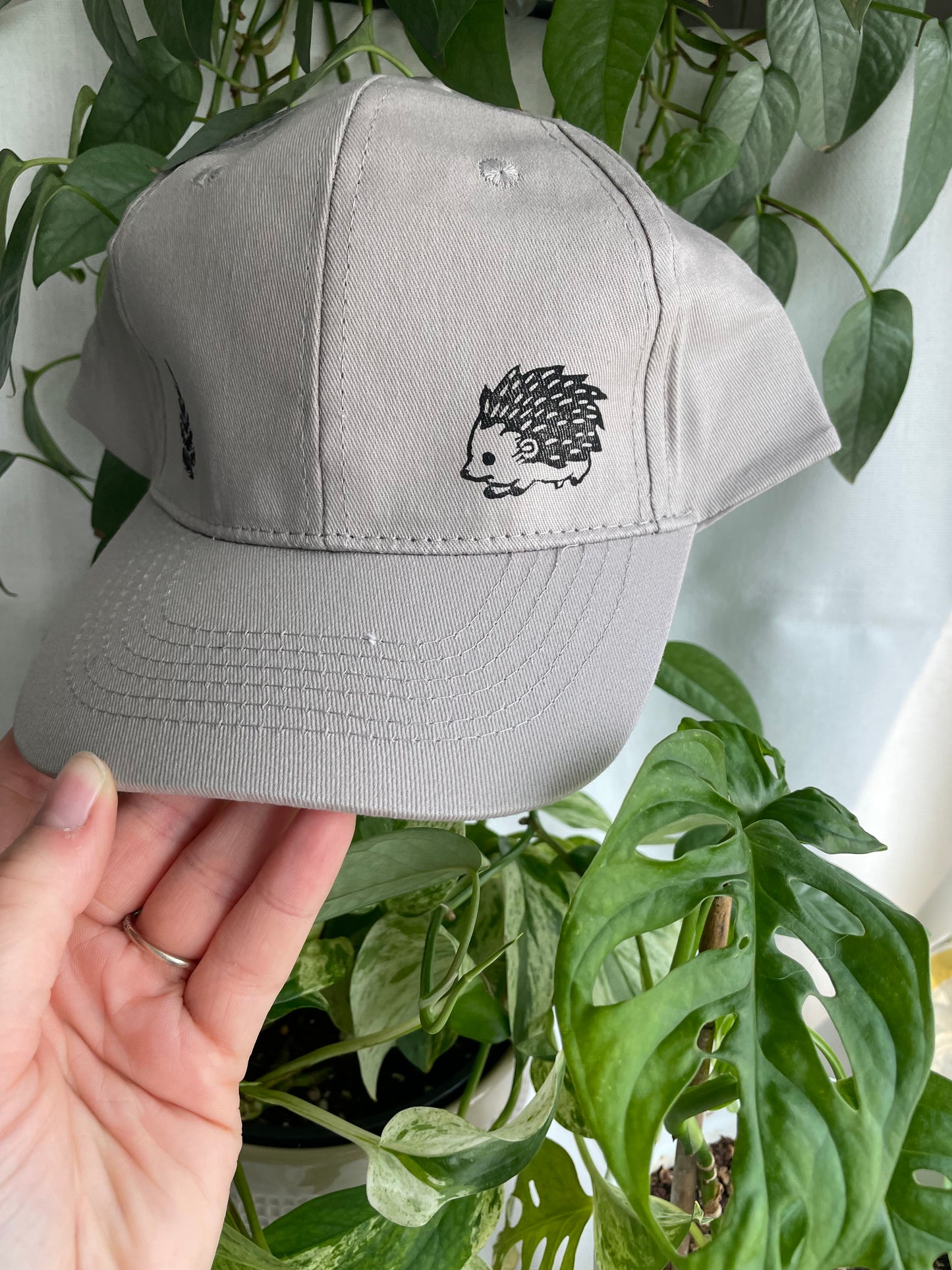 Hedgehog and Fern Cap