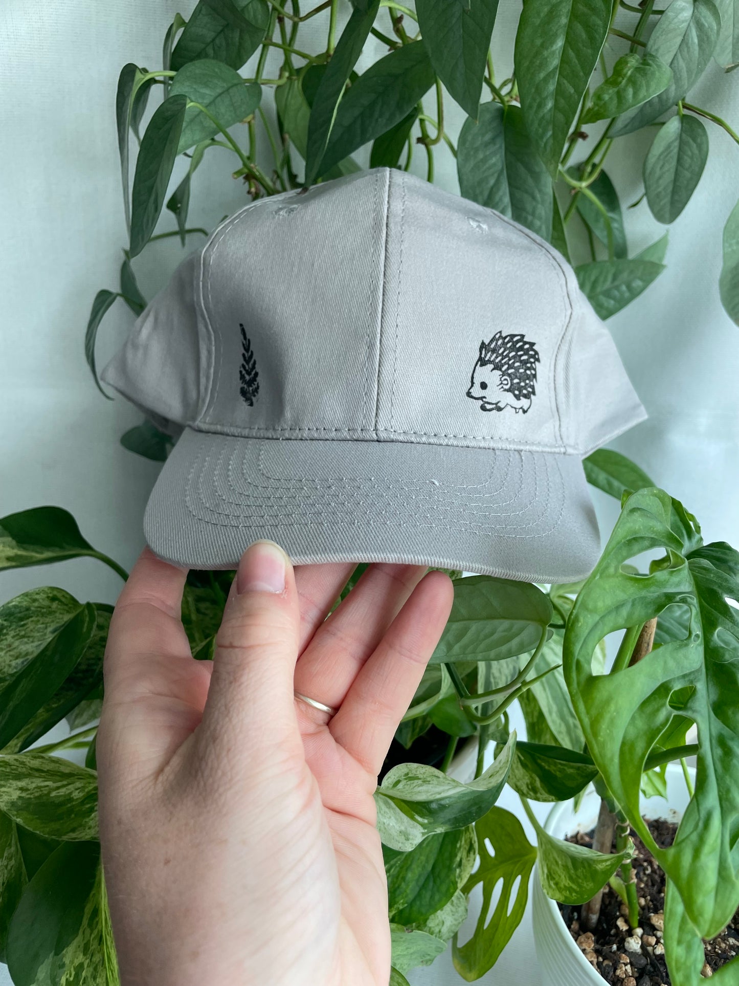 Hedgehog and Fern Cap