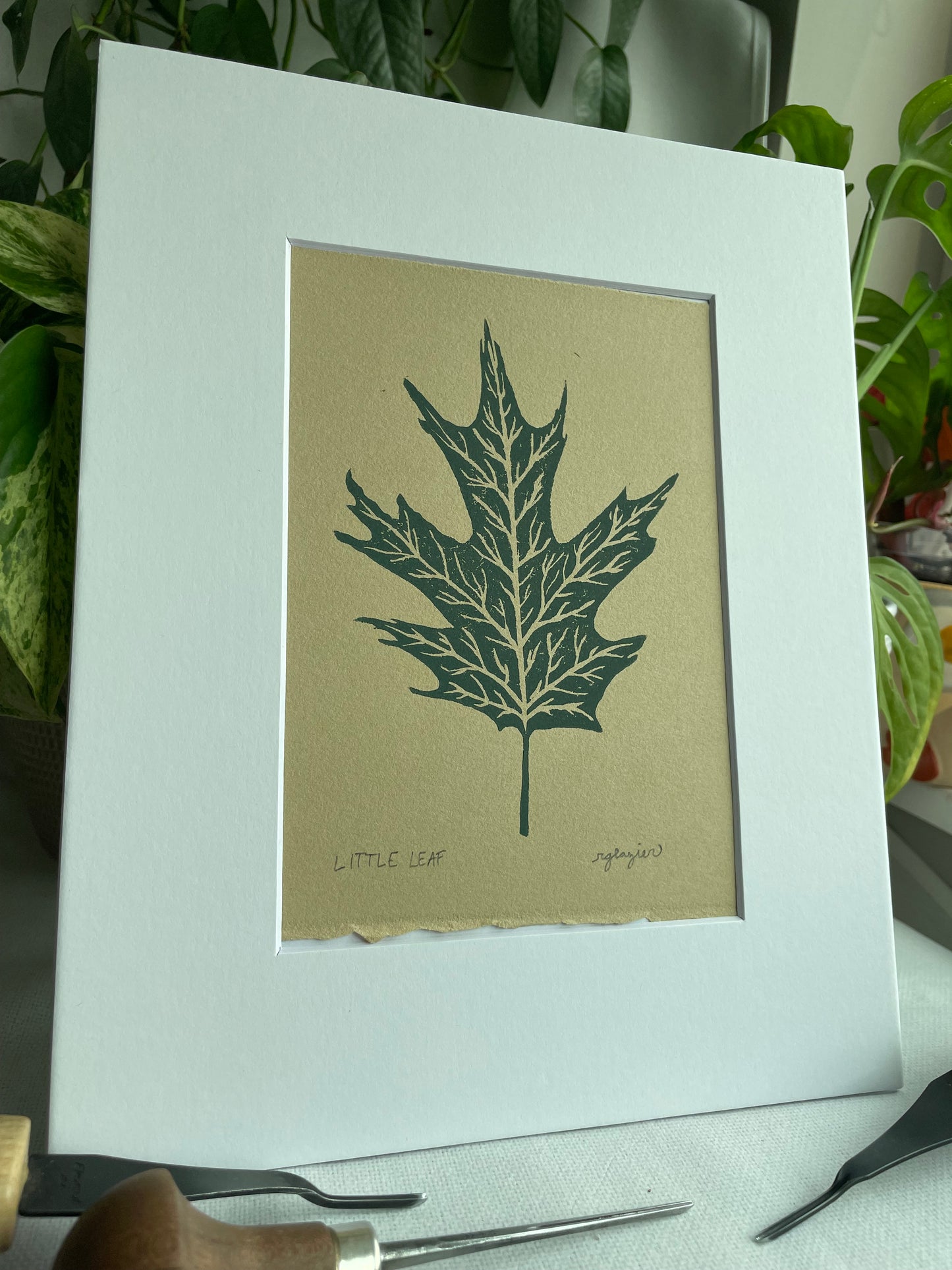 Little Leaf