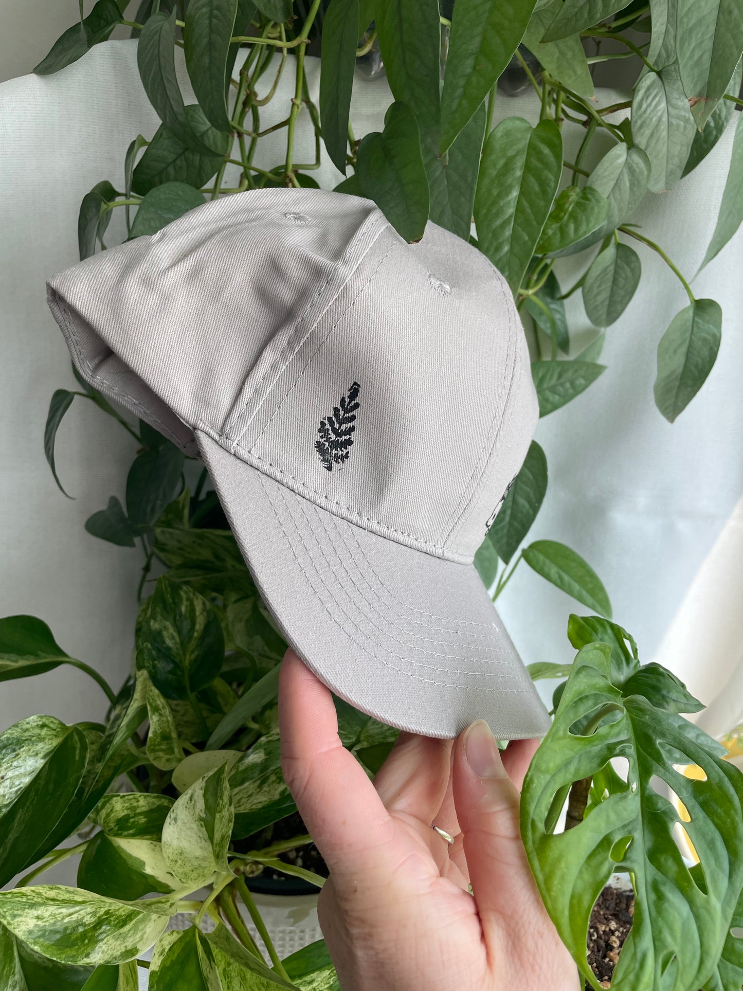 Hedgehog and Fern Cap