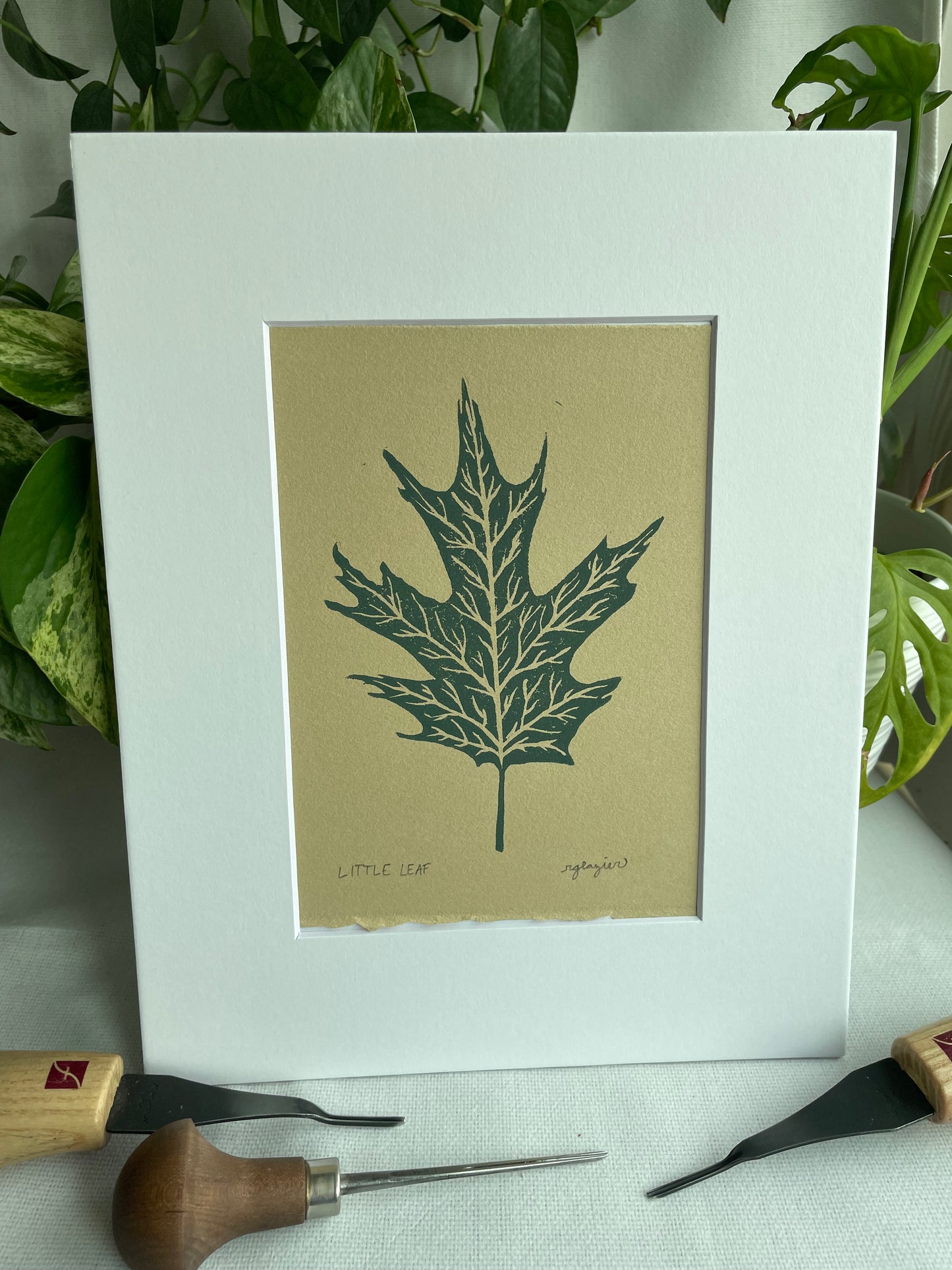 Little Leaf