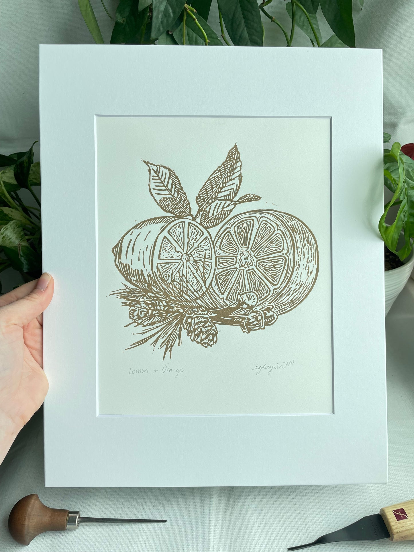 Lemon and Orange, matted to 11x14”