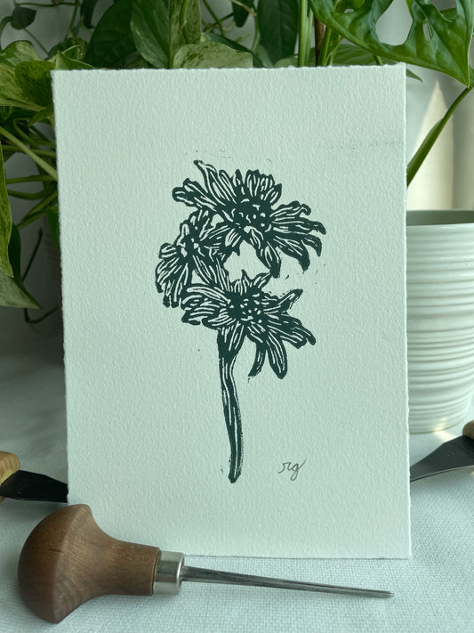 Daisy