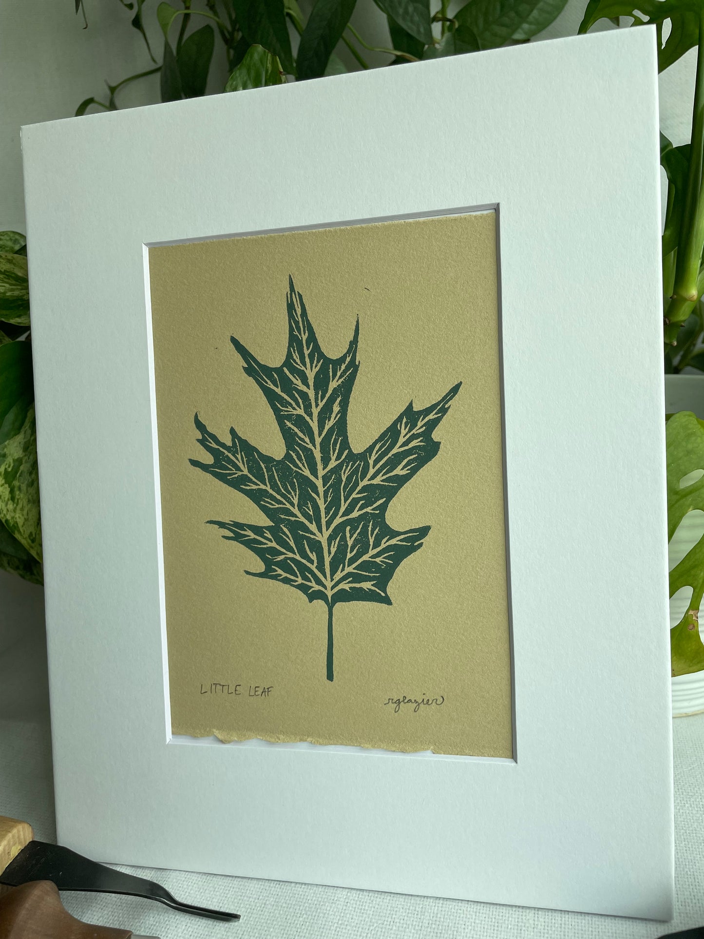 Little Leaf